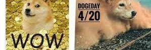 StonedDogElon's profile banner image