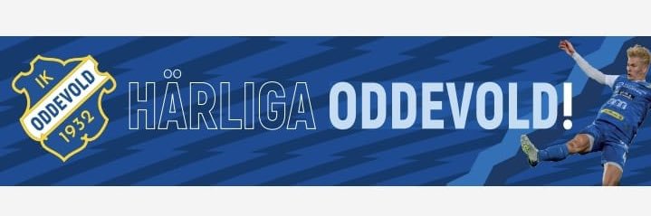 Bohus Bataljon banner