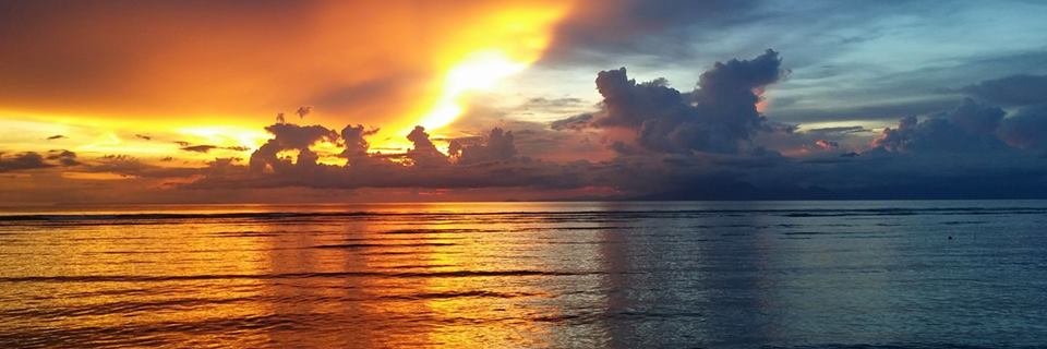 rosettaxv's profile banner image