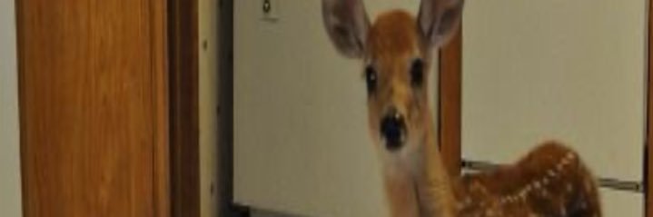 1trillionbars's profile banner image