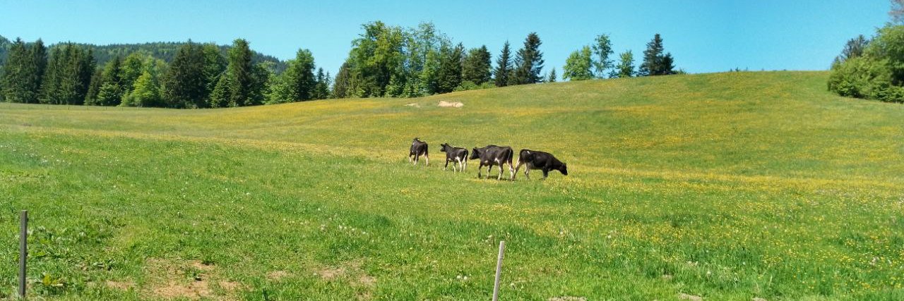 InbreadArchduke banner