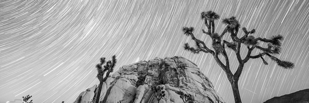 Christian Harder banner