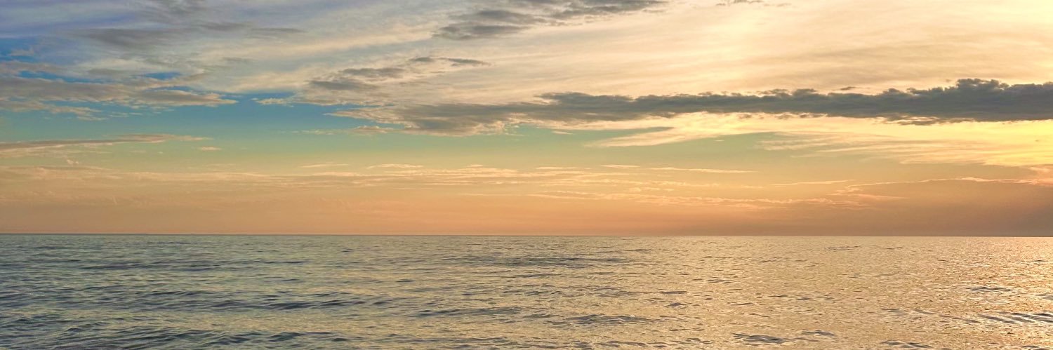 Ingrid_4BTR_'s profile banner image