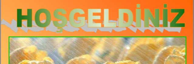 nurdoganv's profile banner image