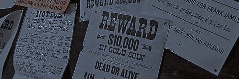 𝐄𝐋𝐋𝐈𝐄 𝐐𝐔𝐈𝐍𝐍's banner