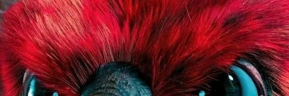 aribloom001's profile banner image