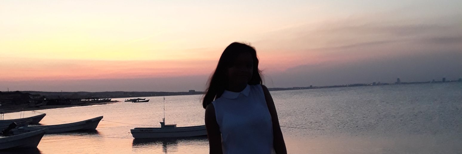 AnaSuheidy's profile banner image