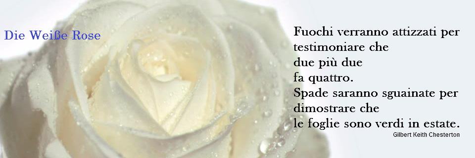 mauroesse75's profile banner image
