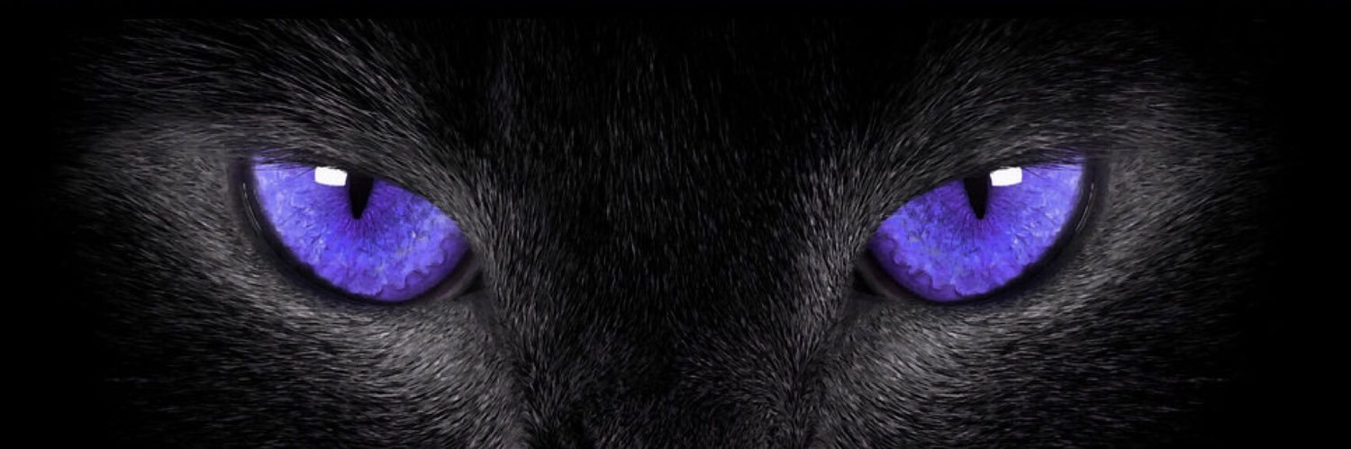 _Breoni's profile banner image