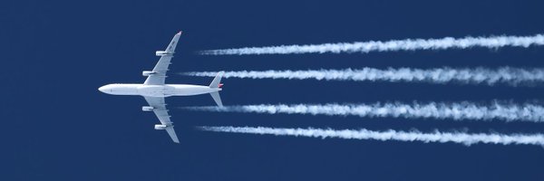 AviTraderNews Profile Banner