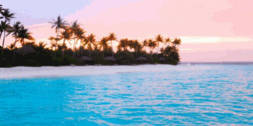 Editions_Free's profile banner image
