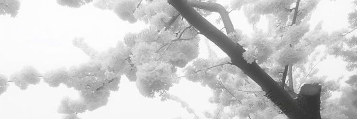 exonik 👩‍❤️‍👩👨‍❤️‍👨's banner