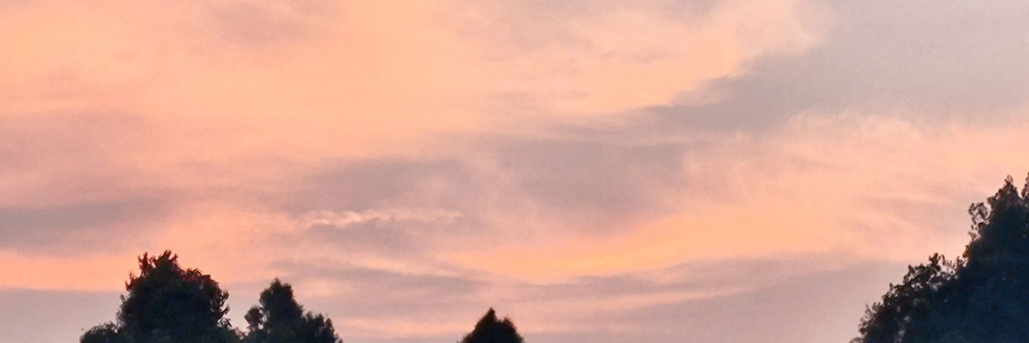 ylfr6699's profile banner image