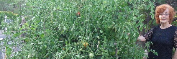 jassit5 Profile Banner