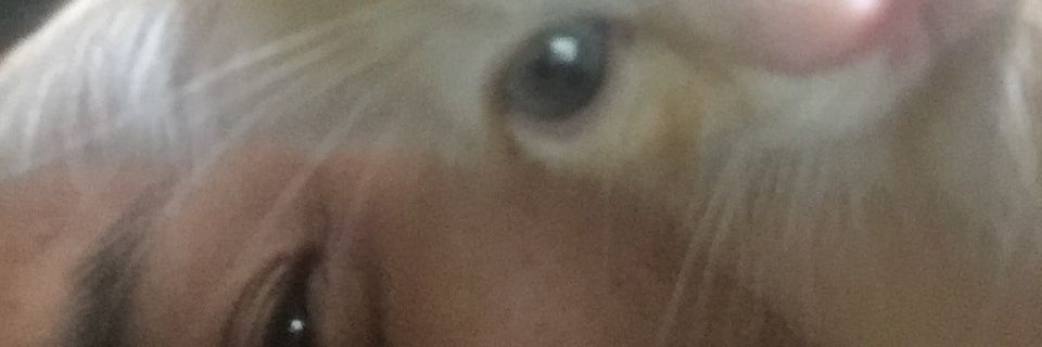 ChocoChurros8's profile banner image