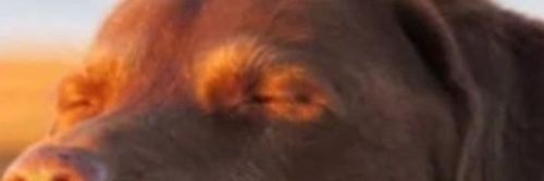 eeeeeeeeeeeeeeeee banner