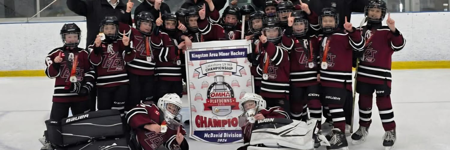 TheOmemeeShark's profile banner image