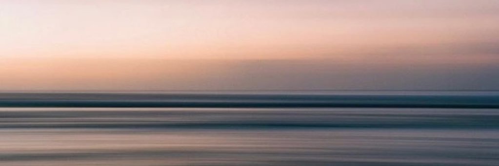 Sybil Williams banner