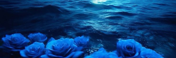 munkaa_'s profile banner image