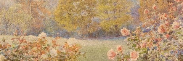 Aurora banner
