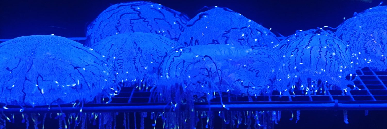 acgrimes's profile banner image