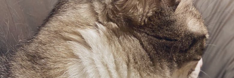 mimiidayoooo's profile banner image