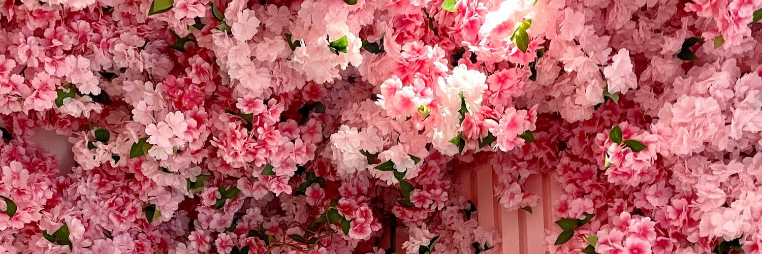 andclelia's profile banner image