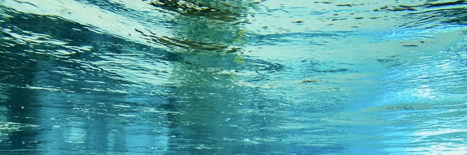 Lazuli__7's profile banner image