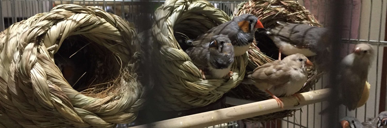 ふぁんぶる_ banner