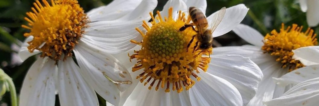 BENN 🧜‍♂️ banner