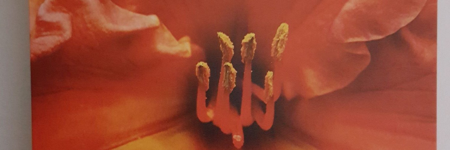 RobinSueHall1's profile banner image