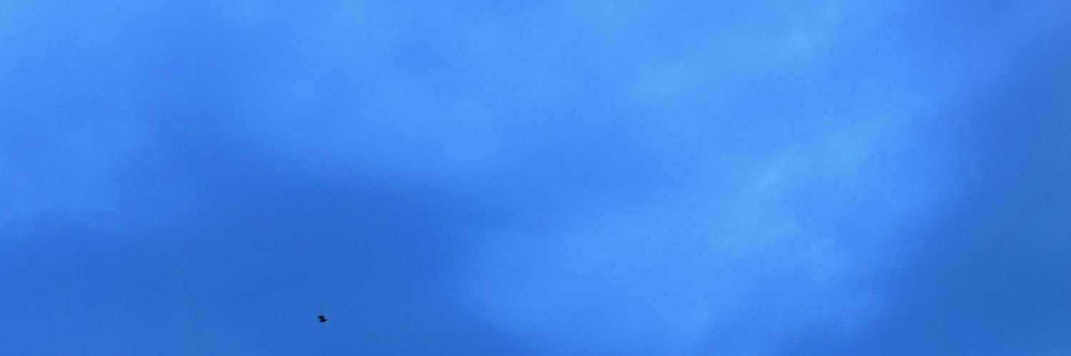 Xaxa18044's profile banner image