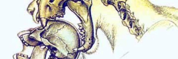 angwest0 Profile Banner