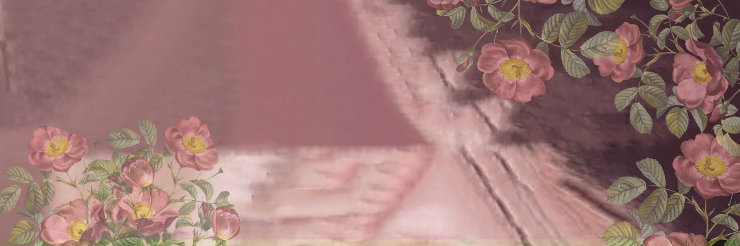 ˚˖𓍢ִ໋ iL𝗒𝗌 banner