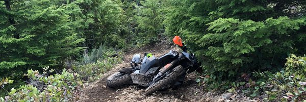 Fleid_Bi Profile Banner