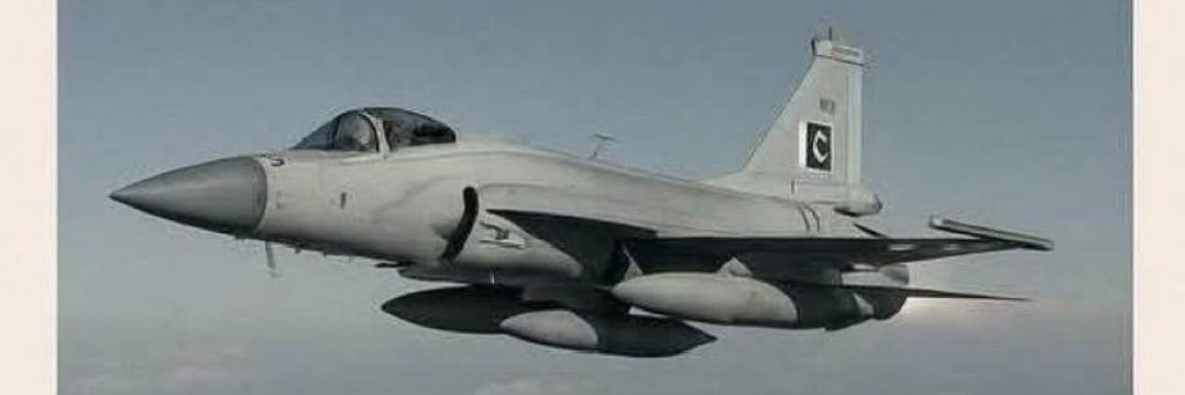 Stop Israel Genocide banner