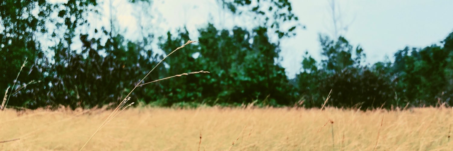 AAAbrahamTan's profile banner image