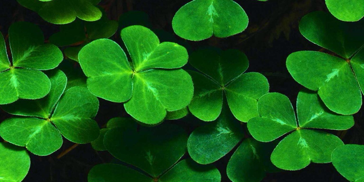 KellyPohlOtt's profile banner image