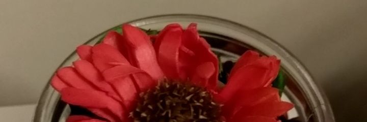 aoicarp's profile banner image