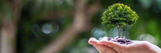 Kekius Maximus banner