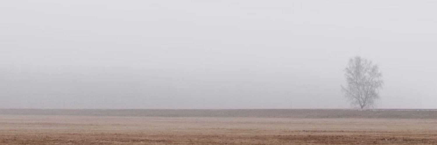 Fogfield Project banner