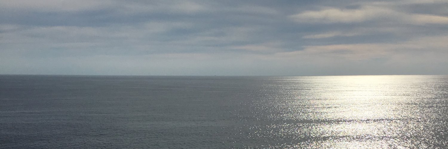 Presidential Will 🏴‍☠️💰 banner