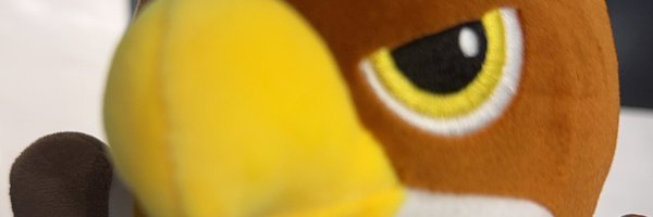 hawks_hakws_ Profile Banner