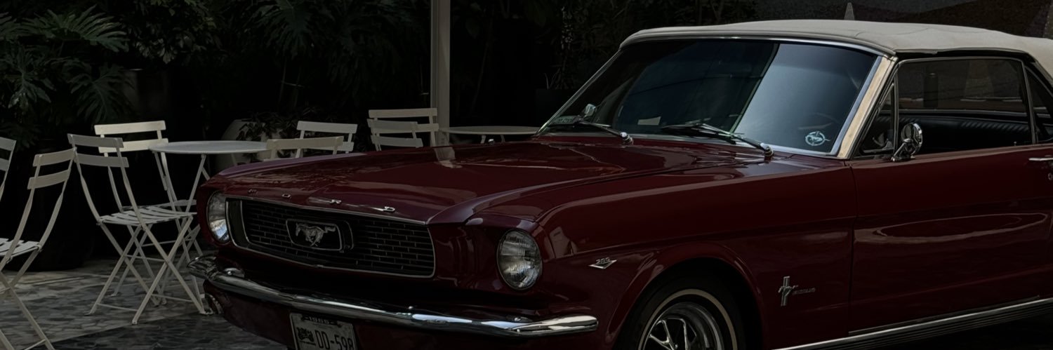 StefMarrufo's profile banner image