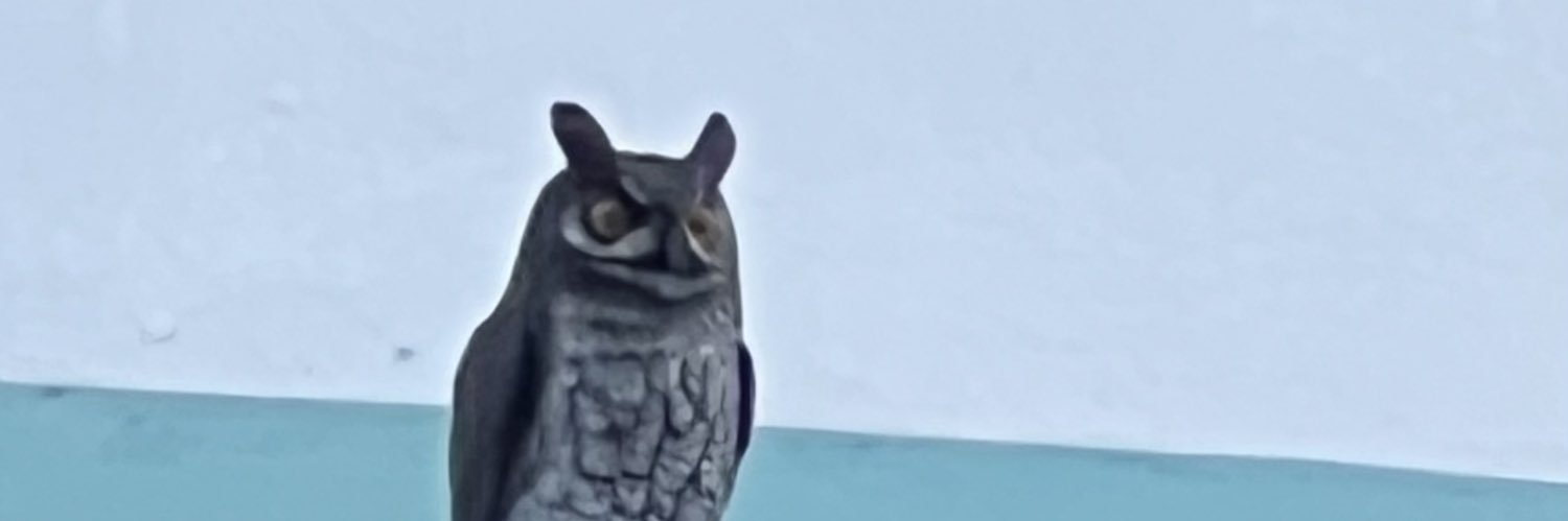 Amx🐍🦧🐉🇪🇸🇦🇷 banner