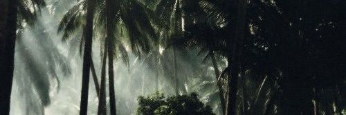 jason brody of shedtwt | max banner