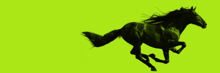 PODKOWAKK's profile banner image