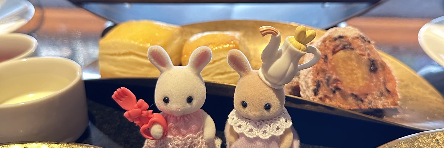 𝒄𝒉𝒊𝒊 ꕤ banner