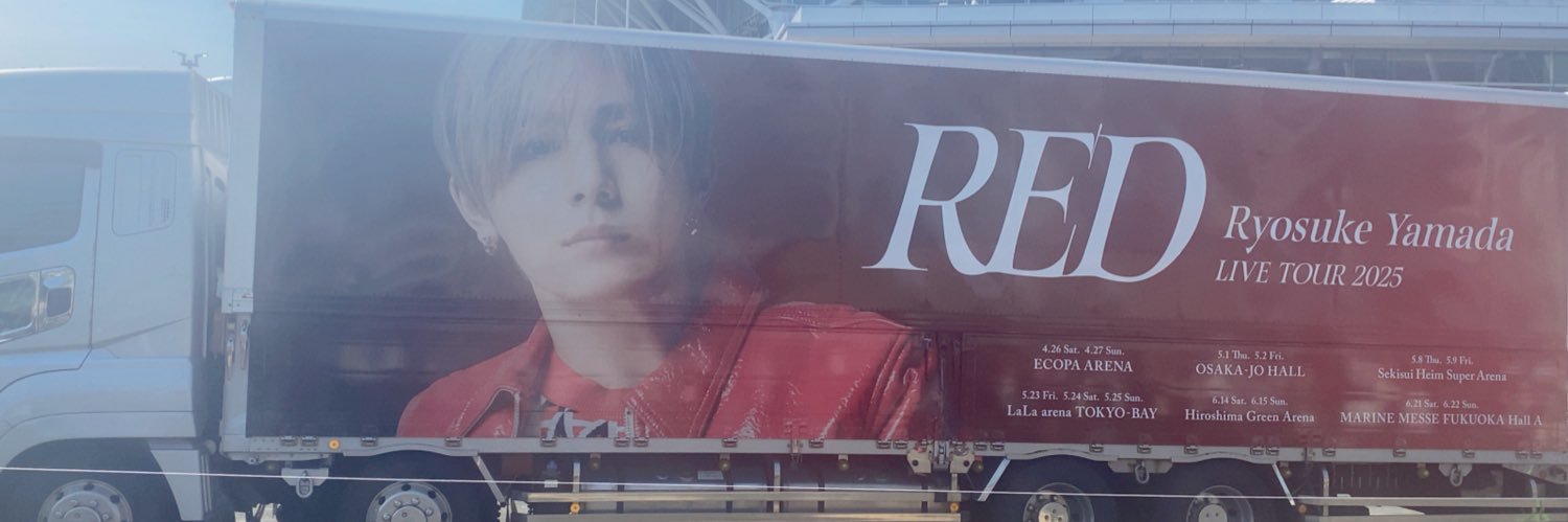 れ*.･🤍𐙚 Red.Y banner