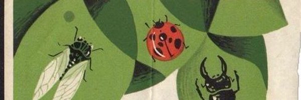 colligocritters Profile Banner